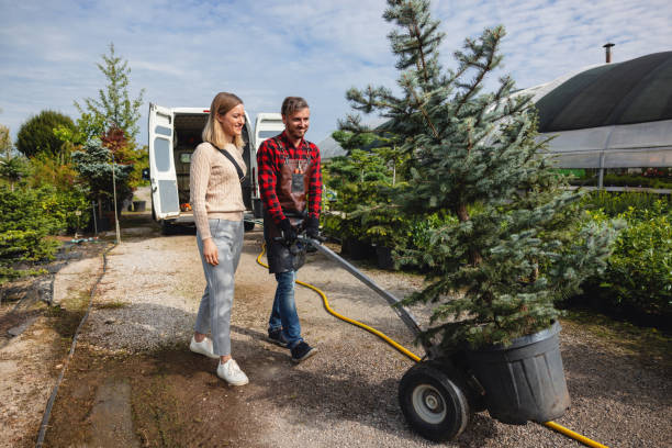 Best Tree Cabling and Bracing  in USA